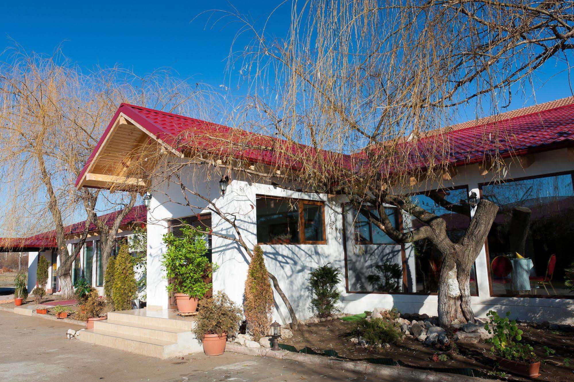 Pension Club Montana Campina Exterior foto